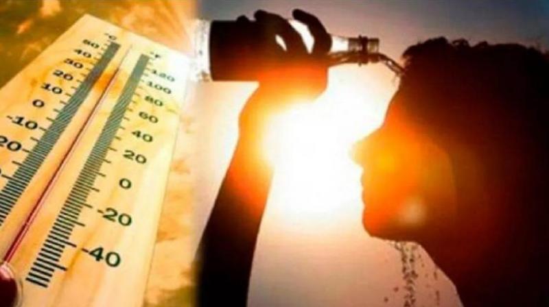 Punjab Weather Update 24 April News In Hindi