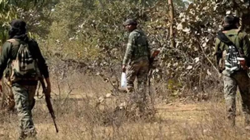 CPI (Maoist) member carrying a bounty of Rs 5 lakh killed News In Hindi CPI (Maoist) member carrying a bounty of Rs 5 lakh killed News In Hindi