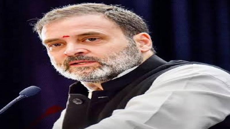 Next hearing in Rahul Gandhi controversial statement case on July 18 news in hindi Next hearing in Rahul Gandhi controversial statement case on July 18 news in hindi