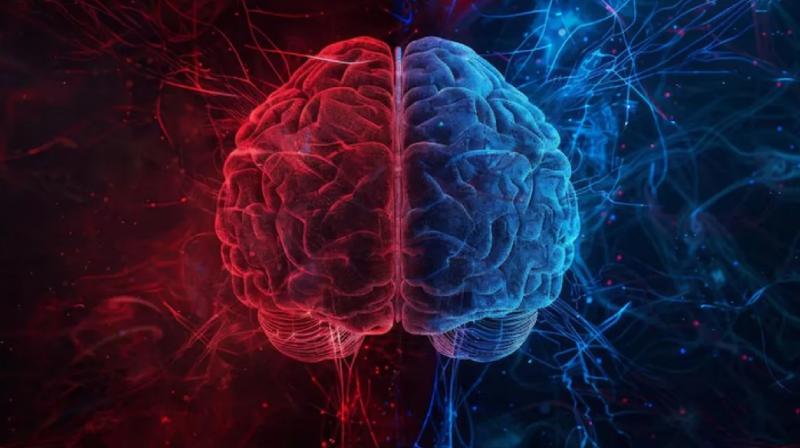 7 everyday habits that help improve memory and concentration News In Hindi 7 everyday habits that help improve memory and concentration News In Hindi