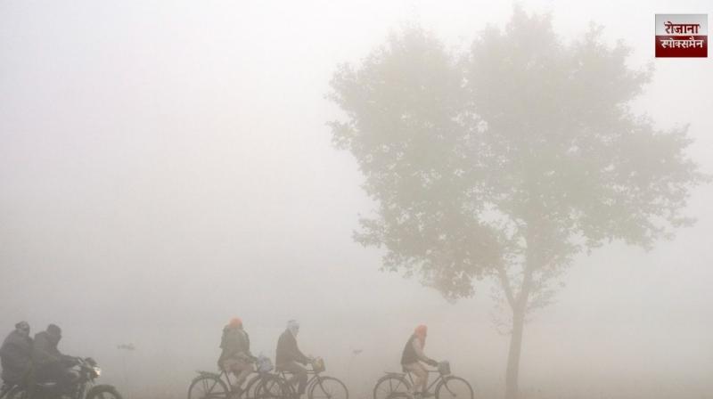 IMD issues alert as dense fog likely over Punjab in next 48 hrs