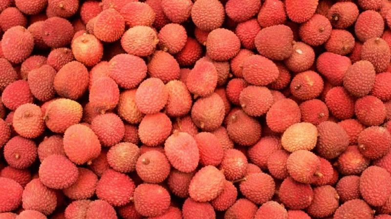 Be Careful If You Eat Too Much Litchi News In Hindi Be Careful If You Eat Too Much Litchi News In Hindi
