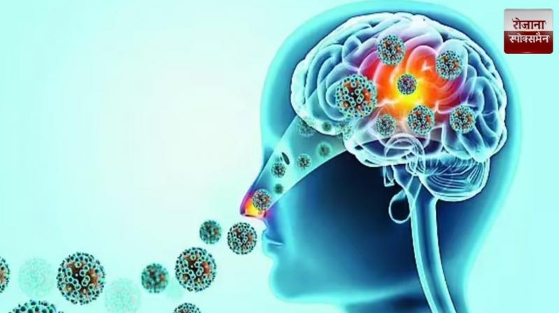 Kerala brain-eating amoeba scare: 21 dead, 80 infected news in hindi 