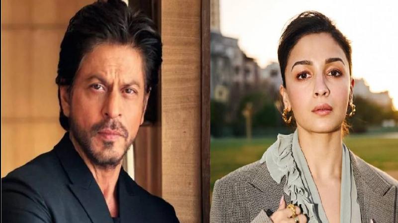 Shahrukh Khan and Alia Bhatt expressed concern over flood in Punjab news in hindi
