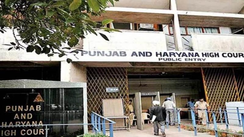 Punjab Haryana High Court many officials including ADC, SDM of Mohali News In Hindi Punjab Haryana High Court many officials including ADC, SDM of Mohali News In Hindi