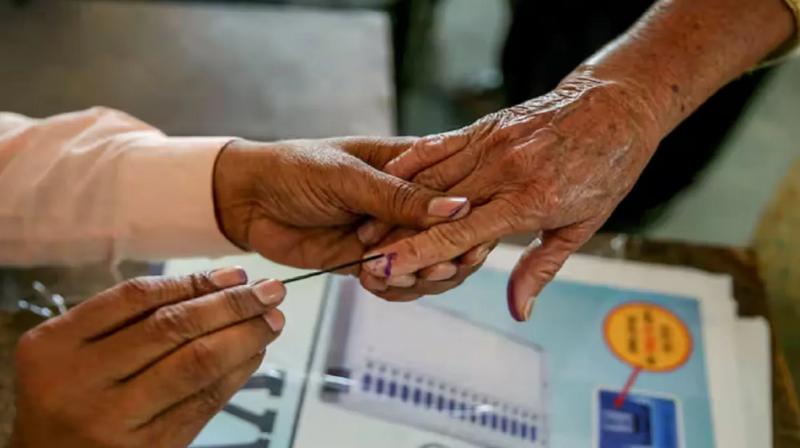 Bihar ranks third in the country in terms of voters above 85 years of age news in hindi