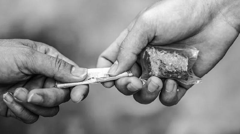 128 cases of drug trafficking registered in Punjab in 3 years, only 18 punished News In Hindi 128 cases of drug trafficking registered in Punjab in 3 years, only 18 punished News In Hindi