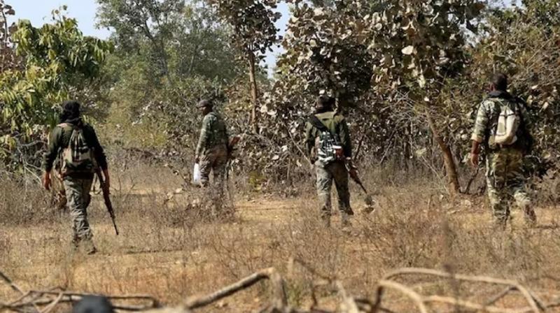 Chhattisgarh encounter Woman Naxalite with Rs 25 lakh bounty killed News In Hindi