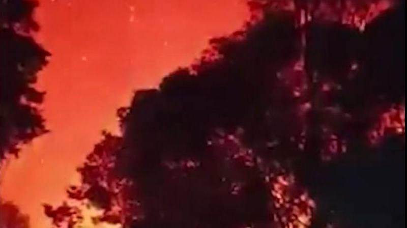  fire broke out in the forests of Shimla, Solan and Mandi in Himachal news in hindi 