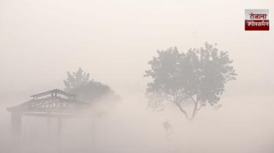 Punjab Weather Update: Cold wave to increase in Punjab