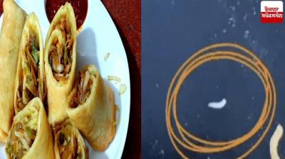 Fast food eaters beware, live worm emerges from spring roll news in hindi