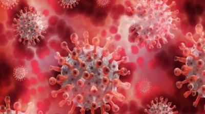 Corona Virus India Update today latest News In Hindi