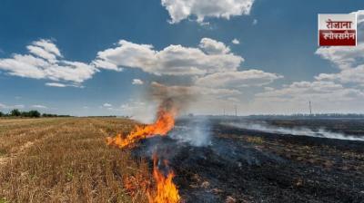 "The Mann government's initiative has led to a historic 85% reduction in stubble burning in Punjab" Central government