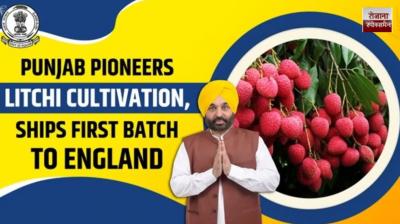 Bhagwant Mann's government opens the way for export,increasing farmers' profits fivefold news in hind