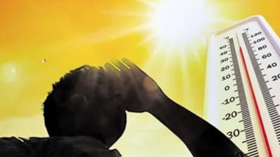 Punjab Weather Update News In Hindi