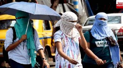  Punjab Weather Update News In Hindi