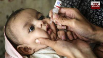 The pulse polio sub-national immunization campaign will be observed in 31 districts of the state from December 14 to 18: Mangal Pandey