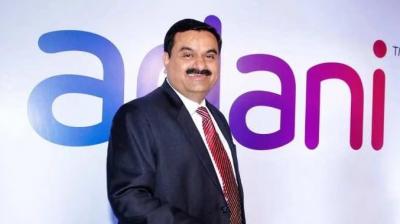 Adani Enterprises raised Rs 5,985 crore from large investors