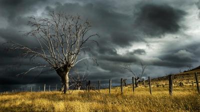 Punjab Weather Update 4 June News In Hindi