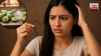 Superstar recipe for strong and healthy hair – Amla and Aloe Vera news in hindi