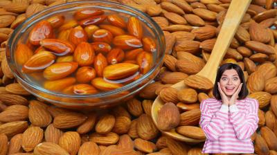 Eating almonds regularly can prevent the risk of diabetes: Study
