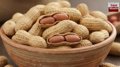 3 Nuts with More Protein Than an Egg, Recommended by a Dietitian news in hindi