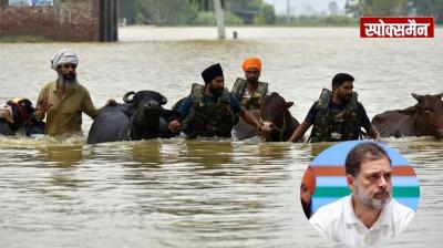Rahul Gandhi will inspect flood affected areas of Punjab News in Hindi