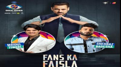 fans ka faisla who enter bigg boss19 shehbaz badesha mridul tiwari news in hindi