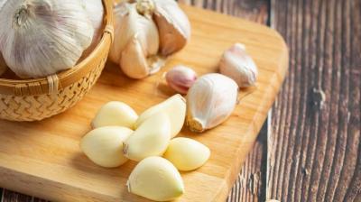Garlic is beneficial for the body News in hindi