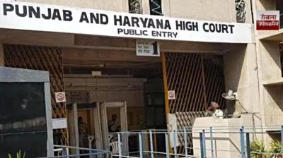 Return seized vehicles to owners after recording photos and videos: Punjab Haryana High Court