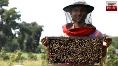 The honey produced by Bihar's Jeevika women has made history