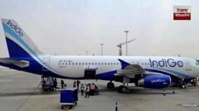 Thousands of fliers hit as IndiGo flight cancellations continue over crew shortage