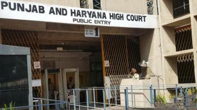 Punjab and Haryana High Court News: 'Children become victims in the fight of parents', High Court comments
