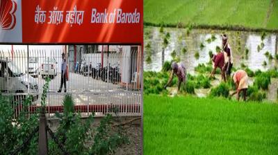 Bank of Baroda gave Rs 134 crore agriculture loan to Tamil Nadu farmers