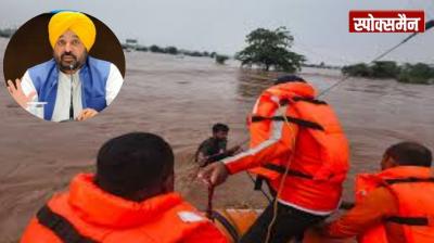 CM Mann announced the appointment of officers in flood-affected villages news in hindi