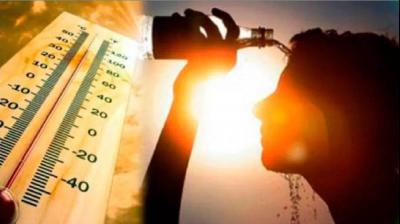 Punjab Weather Update Today News In Hindi