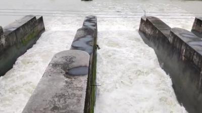 Pong Dam water level close to danger mark news in hindi