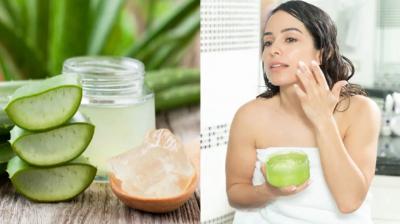 Apply aloe vera gel as night cream for healthy, glowing skin in summer News In Hindi