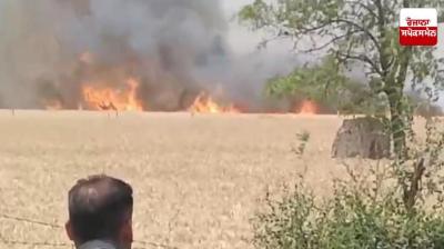 Wheat crop caught fire in Khadunj village of Jalalabad News In hindi