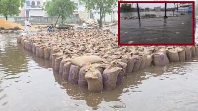heavy rain in Jhajjar Waterlogging, farmers' crops submerged news in hindi