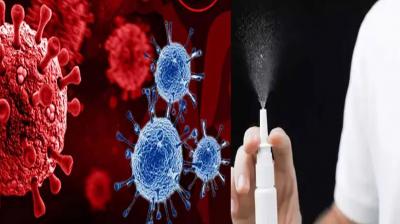 Covid-19 infection prevention 'spray' ready