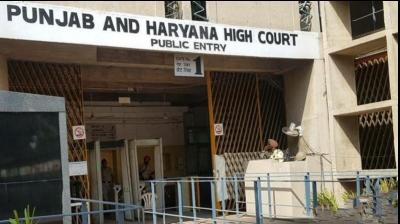 High Court rejects all petitions against Panchayat elections News In Hindi