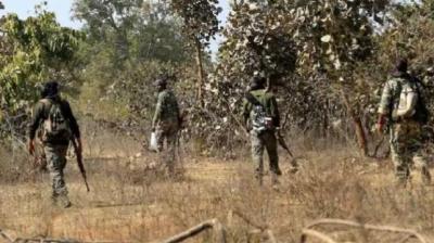 Chhattisgarh 16 Naxalites Bodies recovered News In Hindi