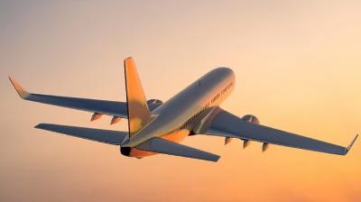 Bomb threat on more than 25 flights News In Hindi