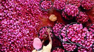 Ban on onion export will continue till March 31
