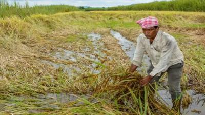 Maharashtra Assembly: Opposition demands relief to farmers affected by unseasonal rains
