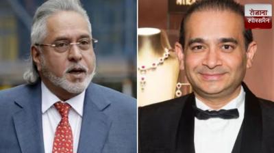 Vijay Mallya and Nirav will return to Tihar Jail news in hindi