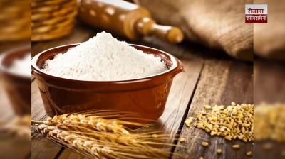 Centre permits 500,000 tonnes of wheat product exports under strict rules