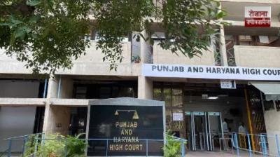 High Court takes suo motu cognizance of 'chitta sold openly' report, seeks Punjab govt action report