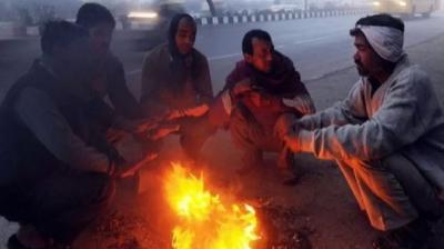 Punjab Weather Update cold wave alert Latest News In Hindi